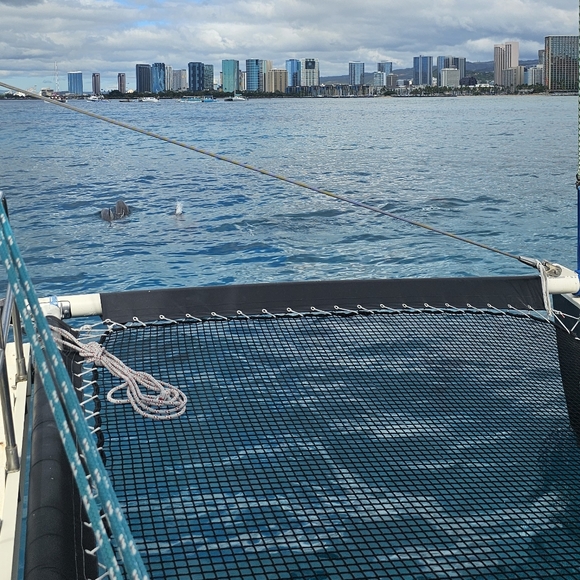 Meet your Posher, Aimee - Picture 8 of 12